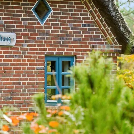 بيت للعطل 10130-ulfborg-kjaergaardvej-59 Øhuse